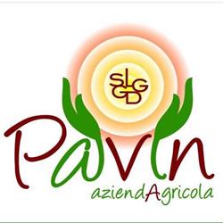 Agri Ristorante Stuzzicheria Pavin, Grosseto orari di apertura