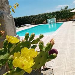 B&B Il Giardino del Tiglio, Uggiano la Chiesa orari di apertura