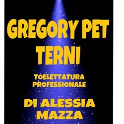Gregory Pet, Terni orari di apertura