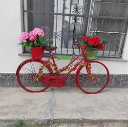 B. & B. Il Pozzo, Montalto Pavese orari di apertura