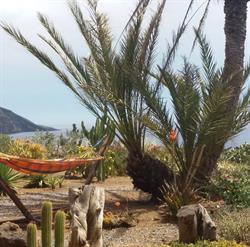 Dammusi Dei Fiori, Pantelleria orari di apertura