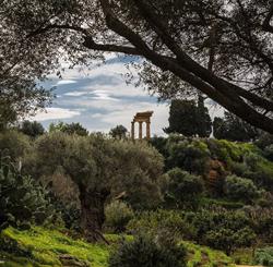 B&B Villa Maiolica, Agrigento orari di apertura