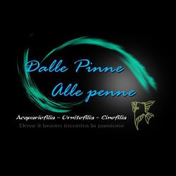 Dalle Pinne Alle Penne, Casoria orari di apertura