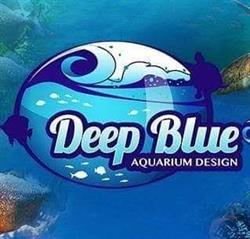 Deep Blue Aquarium Design, Giarre orari di apertura