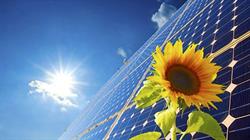 Energy Future srls, Sassari orari di apertura