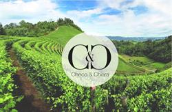 C&C, Valdobbiadene orari di apertura