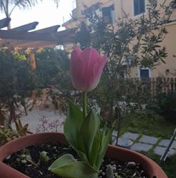 Villa Carati Bed & Breakfast, Acireale orari di apertura