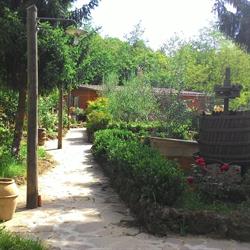 Casa sulla Via Francigena, Ronciglione orari di apertura