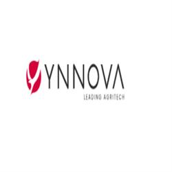 Ynnova, Arzergrande orari di apertura