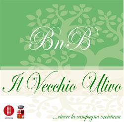 B&B il vecchio ulivo, Orvieto orari di apertura