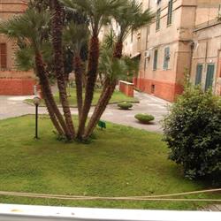 Suite Luisa Roma - Casa Vacanze, orari di apertura