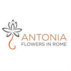 Antonia Flowers Roma, orari di apertura