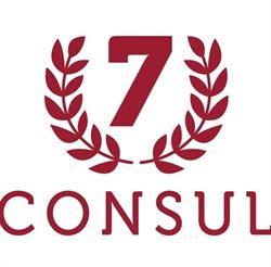 Consul 7 srl, Roma orari di apertura
