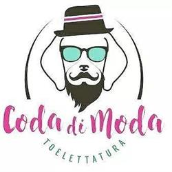 Coda di Moda, Trento orari di apertura