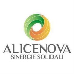 Alicenova, Tarquinia orari di apertura