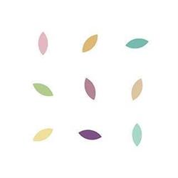 Chicchisani, Torino orari di apertura