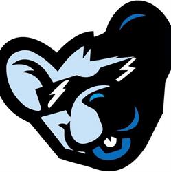 Blumouse Computer, Ancona orari di apertura