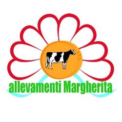 Allevamenti Margherita, Pegognaga orari di apertura
