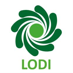 CSV Lodi, orari di apertura