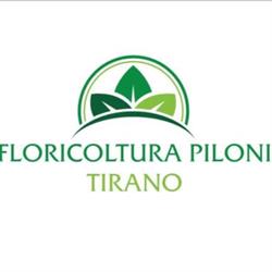 Floricoltura Piloni, Tirano orari di apertura