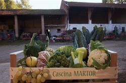 Cascina Martor, Travagliato orari di apertura