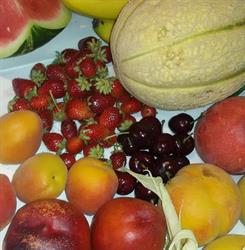 Frutteria monnati luca, Aprilia orari di apertura