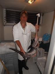 La pescheria di mauro, Roma orari di apertura
