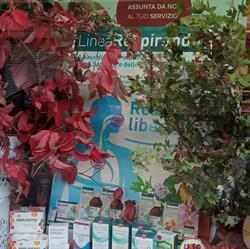 Erboristeria La bottega della Salute, Torino orari di apertura