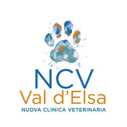 Nuova Clinica Veterinaria Val d'Elsa, Poggibonsi orari di apertura