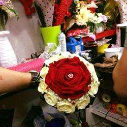 Fiori d'autore, Napoli orari di apertura