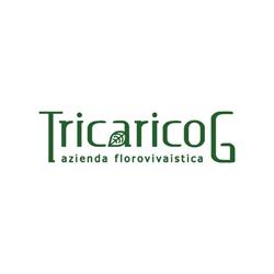 TricaricoG, Terlizzi orari di apertura