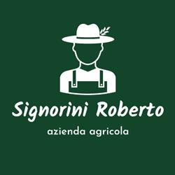 Azienda agricola Signorini Roberto, Vada orari di apertura