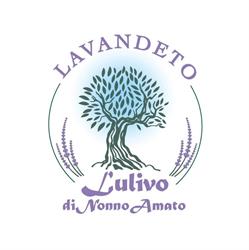 Nuovo Ulivo di Nonno Amato, Morrovalle orari di apertura