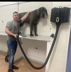 Dog Wash, Capaci orari di apertura
