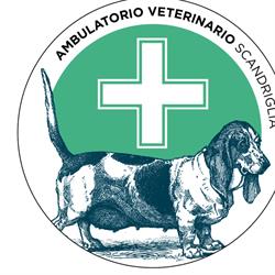Ambulatorio Veterinario Scandriglia, orari di apertura