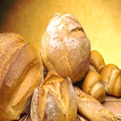 Panificio La Ciaccia, Cortona orari di apertura