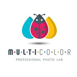 Multicolor di Cascone Chiara, Torino orari di apertura
