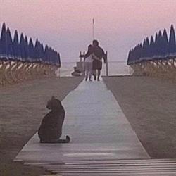 L'Acciughina, Forte dei Marmi orari di apertura
