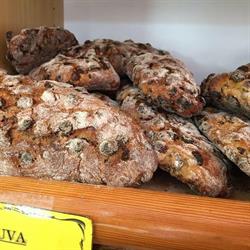 Panificio Legnano, orari di apertura