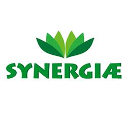SYNERGIAE, Milano orari di apertura