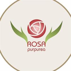 Rosa Purpurea Hotel Ristorante Bar E-Bike Wellness Centre, Valdagno orari di apertura