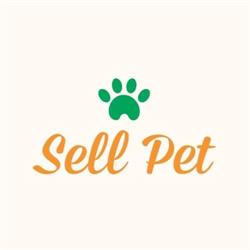 Sell Pet, Roma orari di apertura