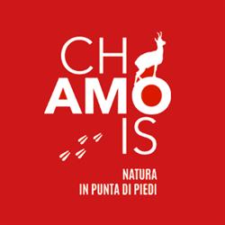 Love Chamois, orari di apertura