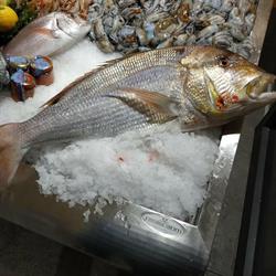 La Gallinella Srl - Pescheria, Barano d'Ischia orari di apertura
