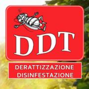 DDT srl.s. Disinfestazioni, Viterbo orari di apertura
