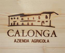 Calonga, Forlì orari di apertura