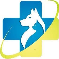 Clinica veterinaria Aurora, Palermo orari di apertura