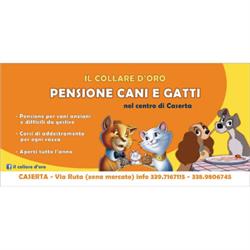 Il Collare D'Oro di Pane Loretta, Caserta orari di apertura
