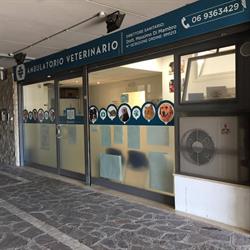 Ambulatorio Veterinario Di Mambro, Genzano di Roma orari di apertura