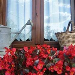 B&b La Casa della Nonna Viterbo, orari di apertura